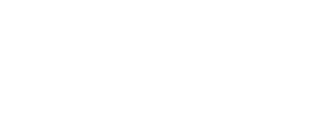 zim logo -2